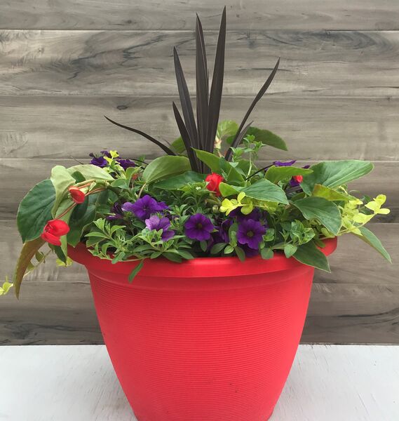 Red Mix - red planter pot: 16 inch Planter